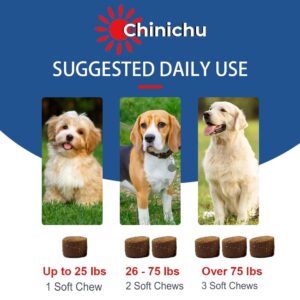 Chinichu Multivitamin Treats for Dogs - Glucosamine Chondroitin for Joint Support + Digestive Enzymes & Probiotics - Grain Free Dog Vitamin for Skin & Coat + Immune Health - Salmon Flavor - 120 Count