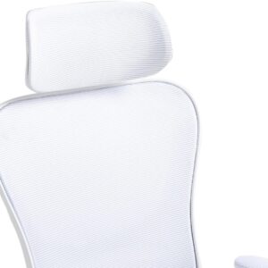 Panana Ergonomic Office Chair High Back Mesh Back Adjustable Headrest Flip-up Padded Armrest Swivel Rolling Desk Chair (White)