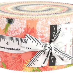 Robin Pickens Dandi Duo Jelly Roll 40 2.5-inch Strips Moda Fabrics 48750JR