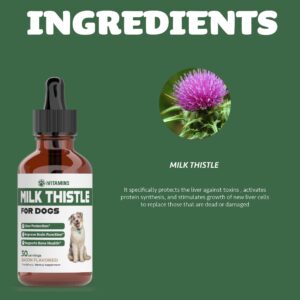 Milk Thistle for Dogs | Supports Liver and Kidney Health | Milk Thistle for Dogs Liver Support | Dog Milk Thistle | Dog Liver Support | Dog Liver Supplement | Milk Thistle Supplement for Dogs | 1 oz