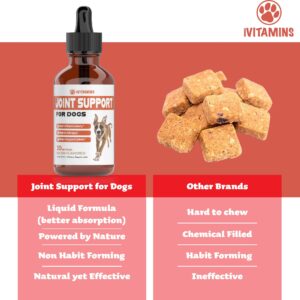 Joint Support Supplement for Dogs | Dog Hip and Joint Supplement | Supports Healthy Hips, Joints, & Much More | Dog Joint Supplement | Joint Supplement for Dogs | Joint Support for Dogs | 1 fl oz