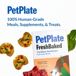 PetPlate FreshBaked Dry Dog Food Grain-Inclusive, Gently Baked and Air-Dried Human Grade Dog Food, Vet Designed and Formulated with Prebiotics and Postbiotics, No Fillers or by-Products, 2lbs (Beef)