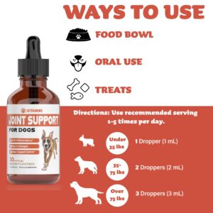 Joint Support Supplement for Dogs | Dog Hip and Joint Supplement | Supports Healthy Hips, Joints, & Much More | Dog Joint Supplement | Joint Supplement for Dogs | Joint Support for Dogs | 1 fl oz