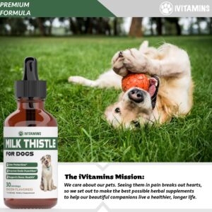 Milk Thistle for Dogs | Supports Liver and Kidney Health | Milk Thistle for Dogs Liver Support | Dog Milk Thistle | Dog Liver Support | Dog Liver Supplement | Milk Thistle Supplement for Dogs | 1 oz