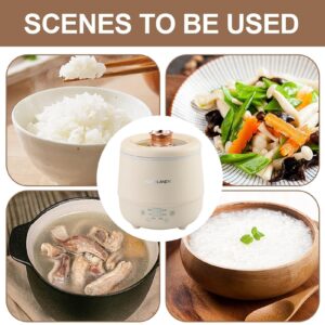 Rice Cooker, 1.8l Non stick Pot Single Serve Steamer, Rice Maker with Keep Warm Function, Portable 1-2 People Automated Rice Cooker, Lightweight Rice Steamer for Grains, Oatmeal, Stews, Soups