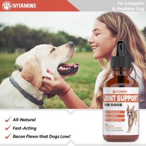 Joint Support Supplement for Dogs | Dog Hip and Joint Supplement | Supports Healthy Hips, Joints, & Much More | Dog Joint Supplement | Joint Supplement for Dogs | Joint Support for Dogs | 1 fl oz