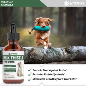 Milk Thistle for Dogs | Supports Liver and Kidney Health | Milk Thistle for Dogs Liver Support | Dog Milk Thistle | Dog Liver Support | Dog Liver Supplement | Milk Thistle Supplement for Dogs | 1 oz