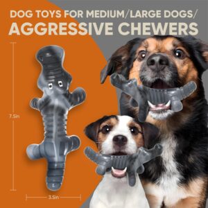 LEGEND SANDY Indestructible Dog Toys for Aggressive Chewers Large Breeds, Tough Nylon Dog Chew Toys for Large Dogs, Durable Dog Bone Toys for Medium/Large Breeds, Safe Bacon Flavor