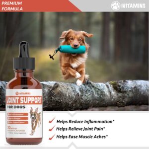 Joint Support Supplement for Dogs | Dog Hip and Joint Supplement | Supports Healthy Hips, Joints, & Much More | Dog Joint Supplement | Joint Supplement for Dogs | Joint Support for Dogs | 1 fl oz