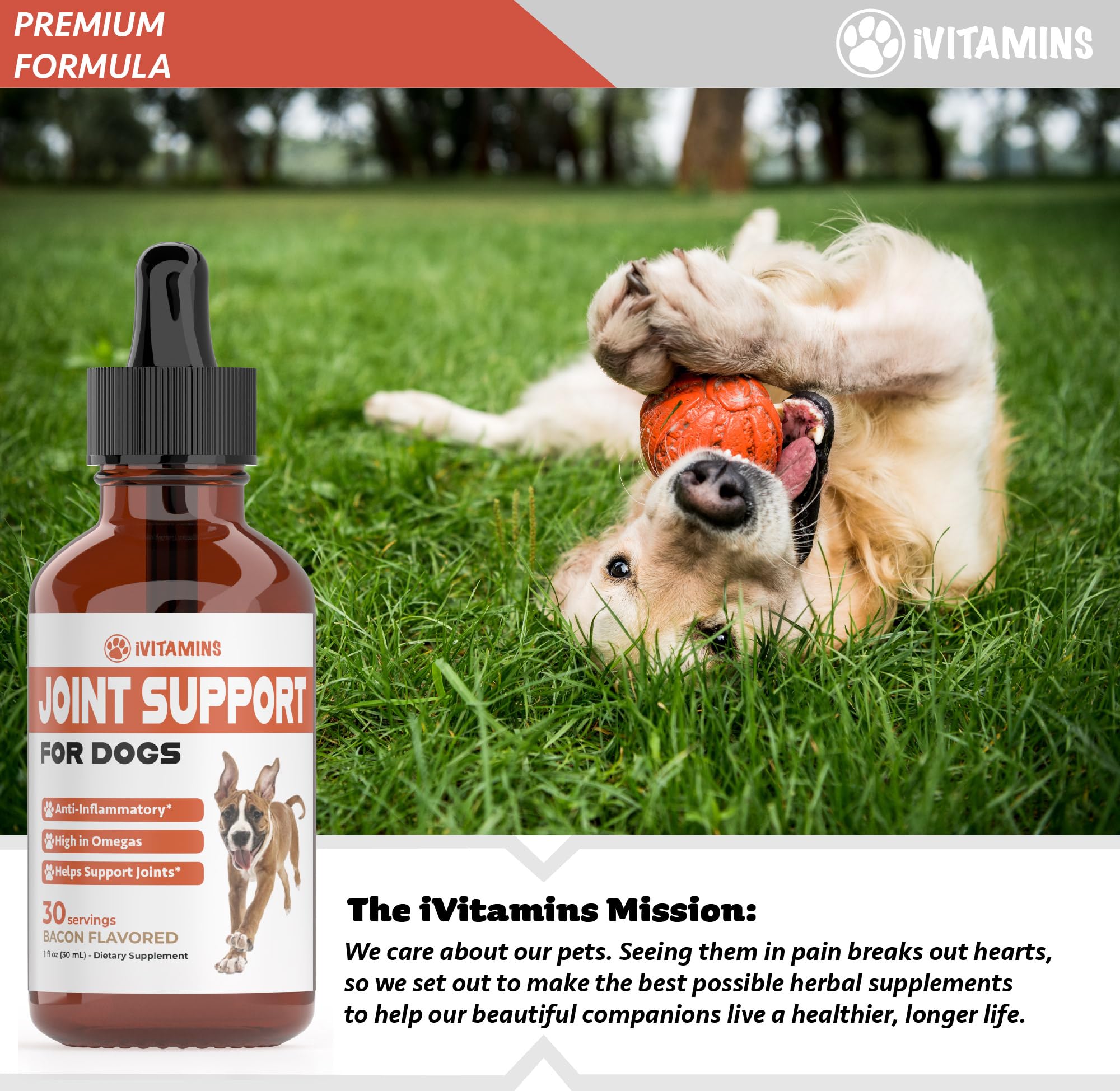 Joint Support Supplement for Dogs | Dog Hip and Joint Supplement | Supports Healthy Hips, Joints, & Much More | Dog Joint Supplement | Joint Supplement for Dogs | Joint Support for Dogs | 1 fl oz