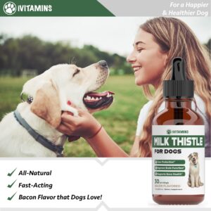 Milk Thistle for Dogs | Supports Liver and Kidney Health | Milk Thistle for Dogs Liver Support | Dog Milk Thistle | Dog Liver Support | Dog Liver Supplement | Milk Thistle Supplement for Dogs | 1 oz