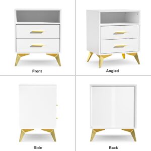 Giluta White Night Stand with 2 Drawers,15.75" D x 19.7" W x 24" H Modern Nightstand for Bedroom, Bedside Table Organizer with Storage