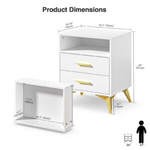 Giluta White Night Stand with 2 Drawers,15.75" D x 19.7" W x 24" H Modern Nightstand for Bedroom, Bedside Table Organizer with Storage