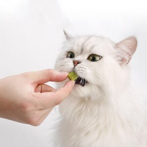 Bottone Keep Your Cat Happy and Healthy with Cat Grass Chewables Wheatgrass for Natural Hairball Excretion Wheatgrass 50g Cat Snacks Treats