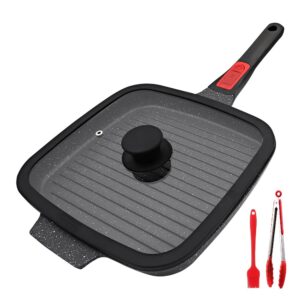 ranxingst griddle pan with lid, 10 inch cast aluminium non stick steak pan with detachable handle for induction hob, black