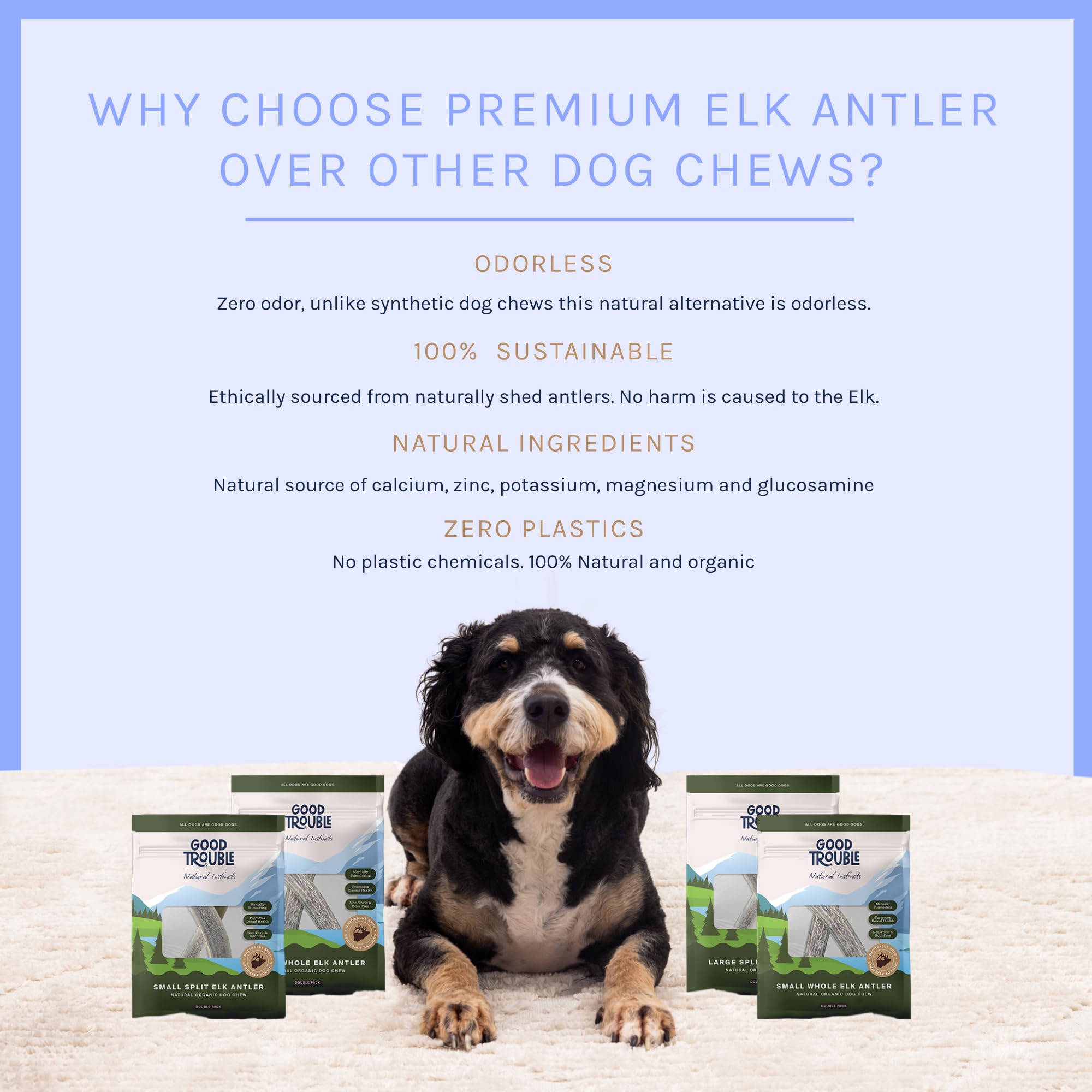 Good Trouble Pets Premium Elk Antlers for Medium Dogs - All-Natural, Shed Antler Chews for Dental Health & Calming - Durable Dog Bones for Aggressive Chewers - Cruelty-Free, North American Sourced