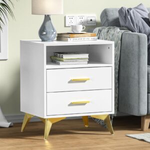 Giluta White Night Stand with 2 Drawers,15.75" D x 19.7" W x 24" H Modern Nightstand for Bedroom, Bedside Table Organizer with Storage