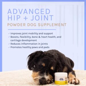 Dog Advanced Hip and Joint Powder by Good Trouble Pets - Joint Supplement for Dogs with Vitamins, Supports Healthy Joints and Prevents Arthritis in Dogs, Puppy Vitamins and Supplements (4.8 oz, Beef)