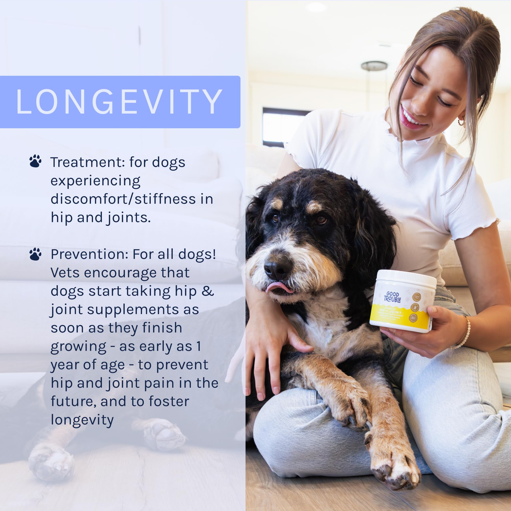 Dog Advanced Hip and Joint Powder by Good Trouble Pets - Joint Supplement for Dogs with Vitamins, Supports Healthy Joints and Prevents Arthritis in Dogs, Puppy Vitamins and Supplements (4.8 oz, Beef)