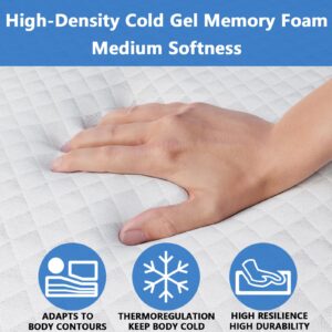 Rhyme source 4.5 Inch Cold Gel Memory Foam Sofa Bed Mattress Replacement for Sleeper Sofa and Couch Beds Queen Size Sofa CertiPUR-US Certified (Sofa Not Included)