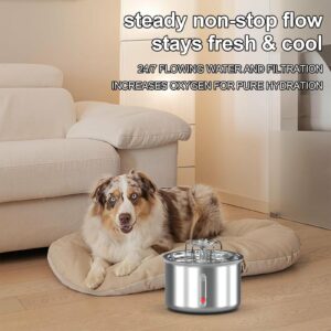 Cat Water Fountain Stainless Steel : 2.5L/85oz Pet Fountain Water Bowl with Strengthen The Filter Element Dog Drinking Dispenser Cat Feeding & Watering Supplies Animal Metal Kitty Spout for Cats