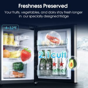 Anypro 3.2Cu.Ft Mini Fridge with Freezer, 2 Door Compact Refrigerator, Small Fridge with 7 Level Thermostat LED Light, Small Refrigerator with Freezer for Bedroom, Office, Dorm, Back to School, Silver