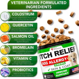 (2 Pack) Dog Allergy Chews - Itch Relief for Dogs - Dog Allergy Relief - Anti Itch for Dogs - Dog Itchy Skin - Dog Allergy Support - Immune Health Supplement - Made in USA - 240 Treats