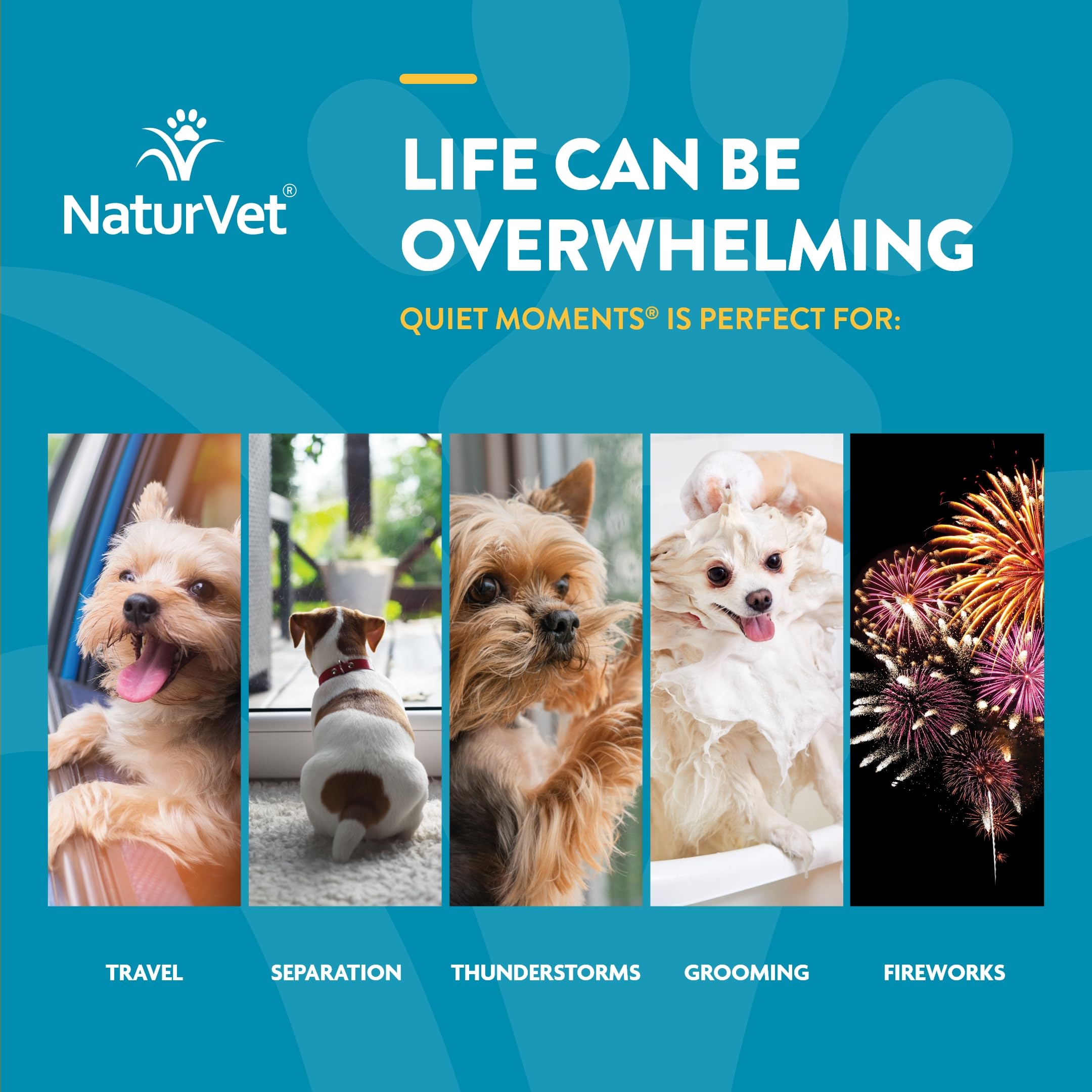 NaturVet Quiet Moments Calming Aid Dog Supplement – Helps Promote Relaxation, Reduce Stress, Storm Anxiety, Motion Sickness for Dogs -70 Soft Chew - Calming Drops - 2 Oz