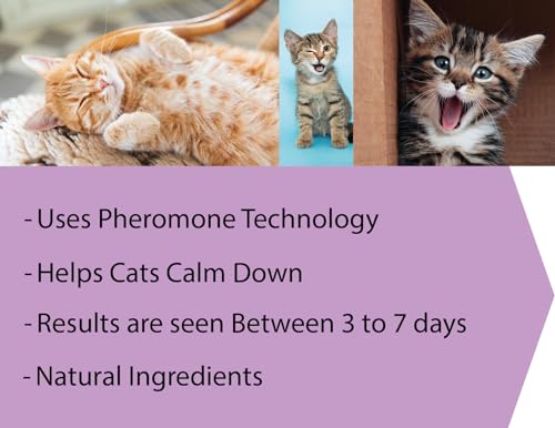 Adjustable Collar with Powerfull pheromones for Cats, relieves Anxiety, Brings Calm and Reduces Stress in Your pet for 30 Days, 1 Unit FEROGATOS