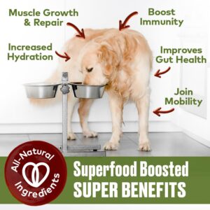 Furvor Mobility Support Beef Bone Broth for Dogs | Hip & Joint Support for Dogs | Glucosamine & Amino Acid Boosted | Human Grade Ingredients | Just add Water | Made in USA, 16 oz