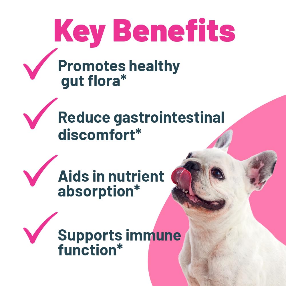 Buddy Biotics Probiotic + Prebiotic for Dogs- Gut Flora Health, Digestive and Immune Health, Diarrhea and Bowel Support – 5 Billion CFU per Scoop