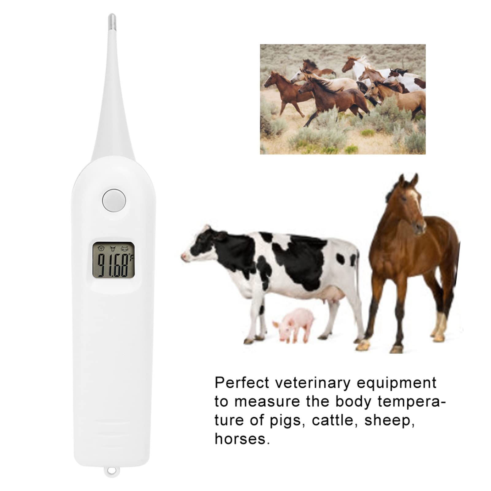 JOROBURO Pet Thermometer, Electronic Pigs Cattle Sheep Thermometer, Pet Dog Thermometer Anus Thermometer Fast Digital Veterinary Thermometer Temperature Tester for Livestock Cats Dogs