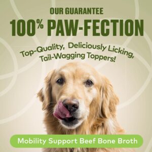 Furvor Mobility Support Beef Bone Broth for Dogs | Hip & Joint Support for Dogs | Glucosamine & Amino Acid Boosted | Human Grade Ingredients | Just add Water | Made in USA, 16 oz