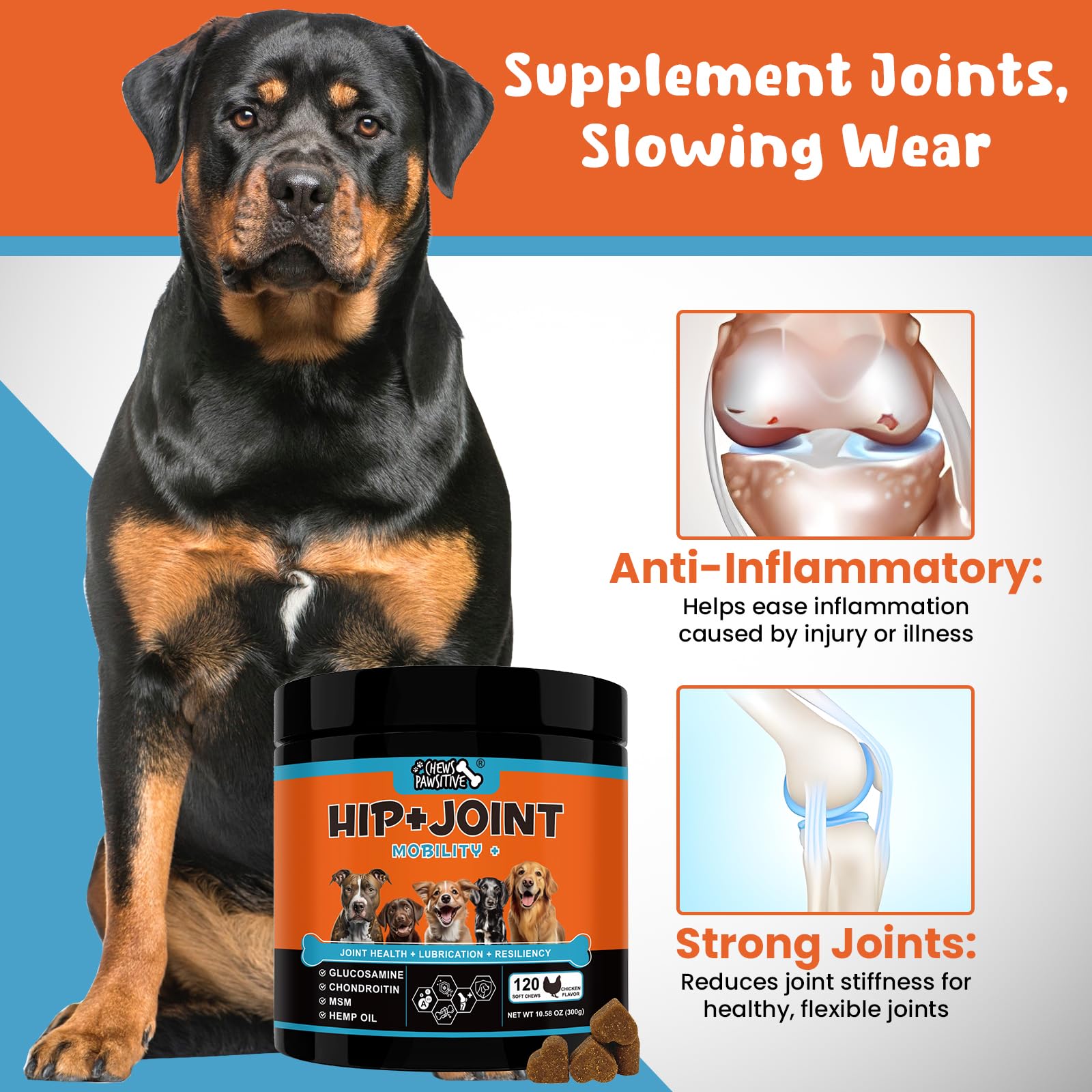 Chews Pawsitive Hip and Joint Supplement for Dogs- Mobility, Hip and Joint Chews for Dogs with Glucosamine, Chondroitin, MSM, Tumeric, Hemp Oil- Soft Chews Joint Support Supplement for Dogs- 120ct