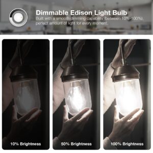 DAYBETTER 12 Pack Vintage LED Edison Bulbs, E26 Led Bulb 60W Equivalent, Dimmable Led Light Bulbs, High Brightness 800 LM Neutral White 4000K, ST58 Antique Filament Bulbs, Clear Glass Style for Home