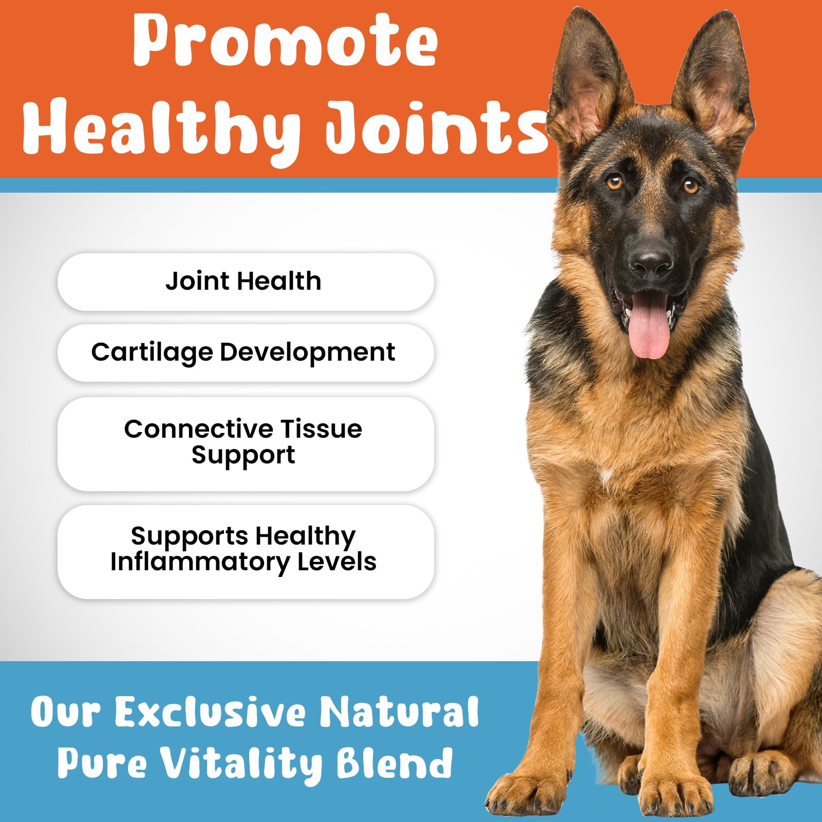 Chews Pawsitive Hip and Joint Supplement for Dogs- Mobility, Hip and Joint Chews for Dogs with Glucosamine, Chondroitin, MSM, Tumeric, Hemp Oil- Soft Chews Joint Support Supplement for Dogs- 120ct