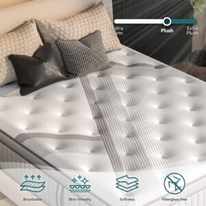 California King Mattresses, DIGLANT 14 Inch Plush Hybrid Mattress, Calking Size Memory Foam Mattresses with Pocketed Coils Innerspring, Motion Isolation & Back Pain Relief, Calking Mattress in Box