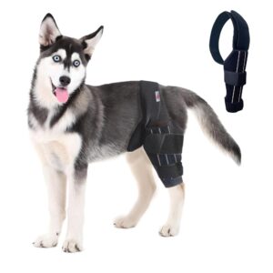 dog knee brace, hip displaysia dog support brace, dog acl brace hind leg, dog acl knee brace, dog knee brace for luxating patella, acl brace for dogs rear leg, dog hip support brace (l - left)