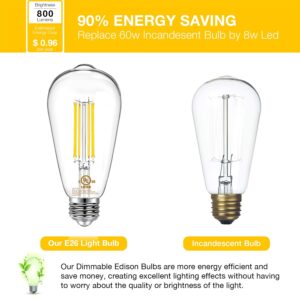 DAYBETTER 12 Pack Vintage LED Edison Bulbs, E26 Led Bulb 60W Equivalent, Dimmable Led Light Bulbs, High Brightness 800 LM Neutral White 4000K, ST58 Antique Filament Bulbs, Clear Glass Style for Home