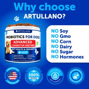 Probiotics for Dogs - Support Gut Health, Itchy Skin, Allergies, Immunity, Yeast Balance - Dog Probiotics and Digestive Enzymes with Prebiotics - Reduce Diarrhea, Gas - 180 Probiotic Chews for Dogs