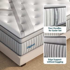 Full Mattresses, DIGLANT 14 Inch Plush Hybrid Mattress, Full Size Memory Foam Mattresses with Individually Pocketed Coils Innerspring, Motion Isolation & Back Pain Relief, Full Mattress in Box