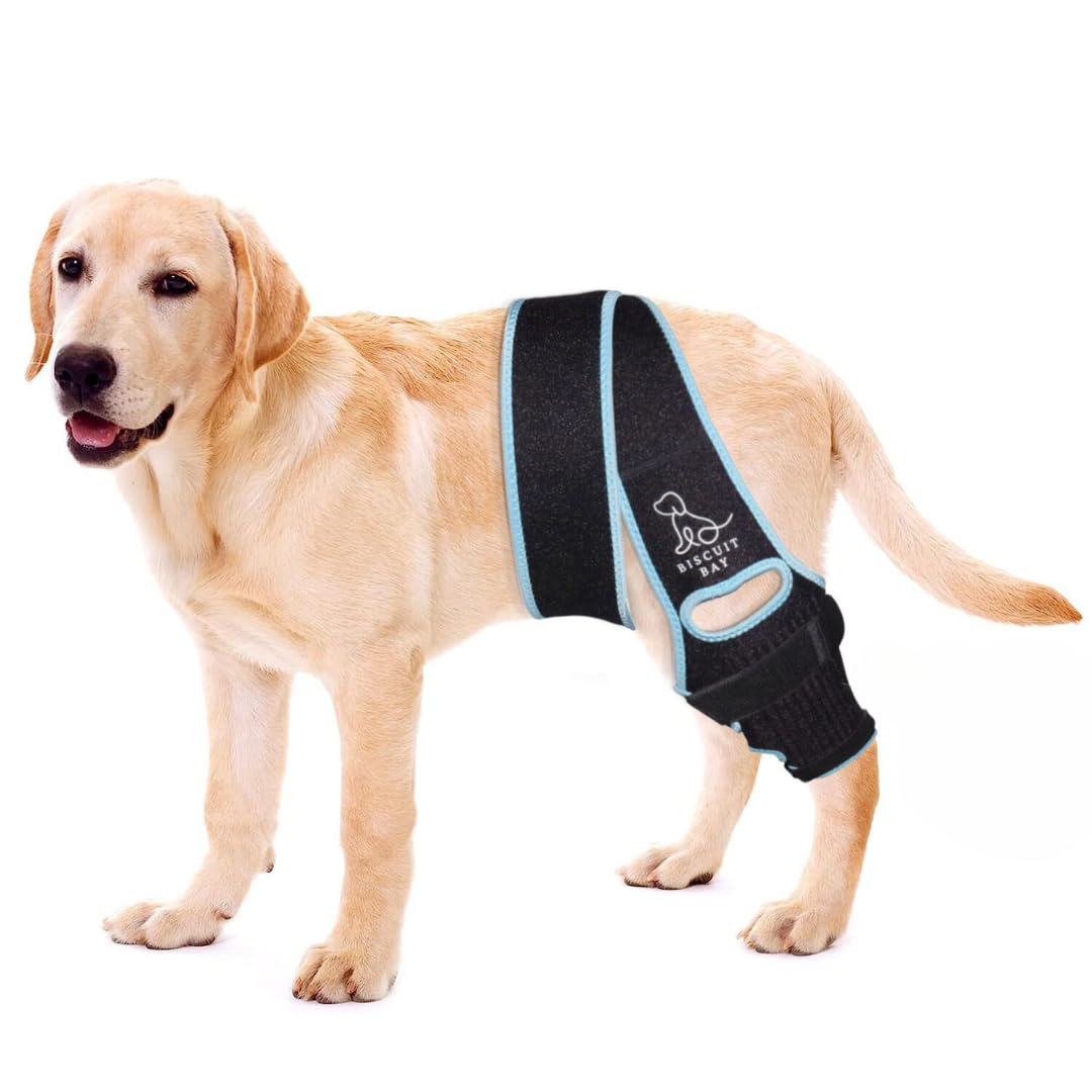 Dog Knee Brace (SMALL) Dog Knee Brace for Torn ACL Hind Leg - Dog Knee Brace Promotes Faster Recovery - Extra Supportive Dog Leg Brace with 10x Stabilizers & Longer Straps for an Anti-Slip Comfort Fit