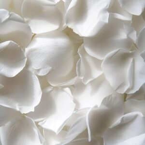 REAL Rose Petals, Pearl White Freeze-Dried Petals 3.5oz Biodegradabel Wedding Natural Confetti, Perfectly Preserved Flower Petals for Table Decorations