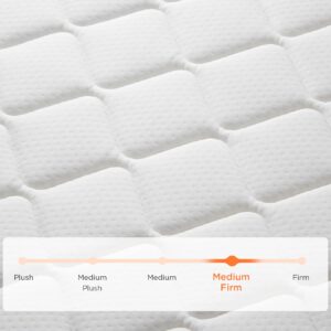 Queen Mattress, 8 Inch Queen Size Mattress in a Box, Memory Foam Hybrid Mattress, with Spring for Motion Isolation & Silent Sleep, Motion Isolation, Pressure Relief, Edge Support, and Medium Firmness