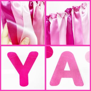 Hot Pink Birthday Felt Party Decorations for Girls Women Happy Birthday Banner Pink Ribbon Garland Balloon Backdrop Happy Birthday Decorations for Hot Girl Bday Princess Theme Birthday Party Supplies