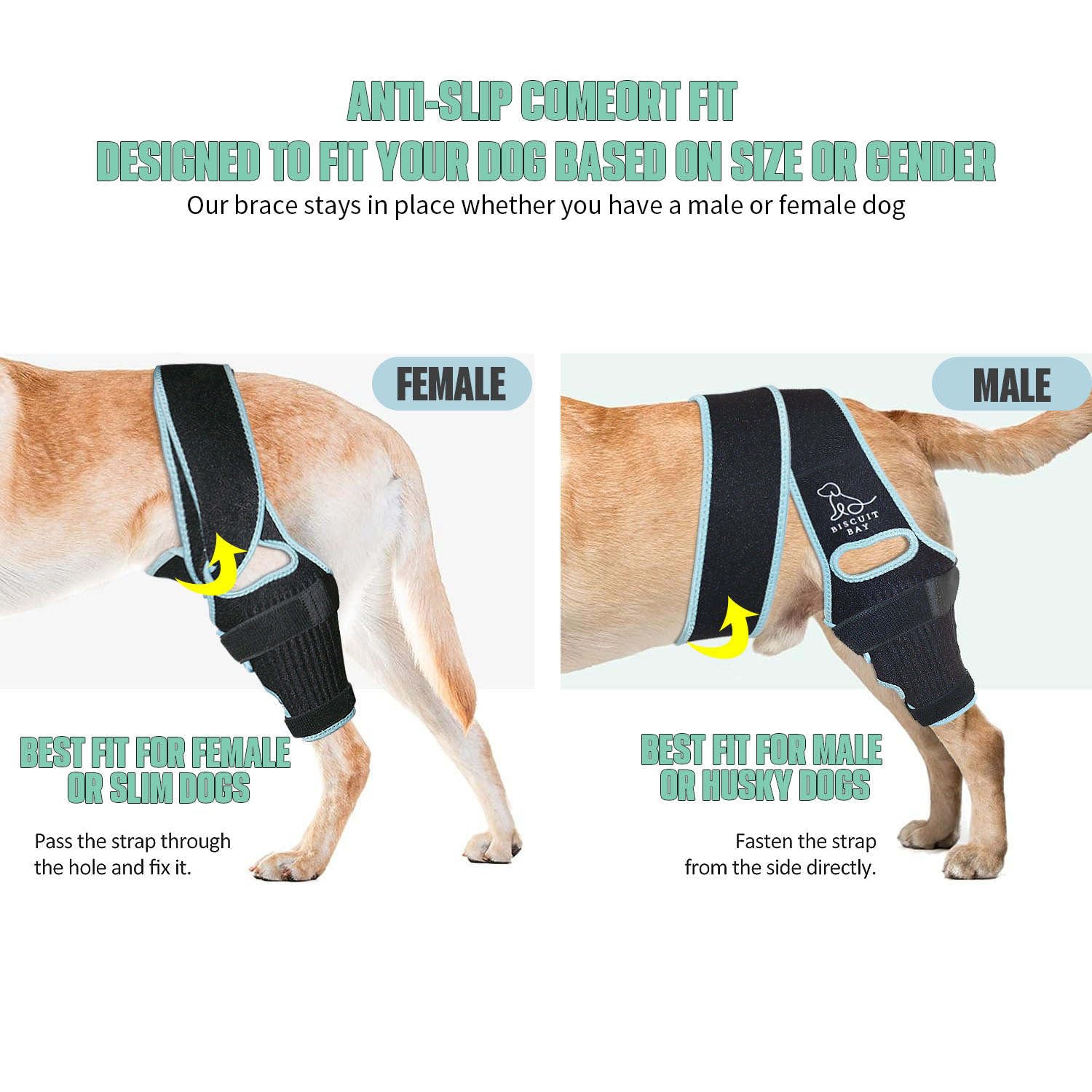 Dog Knee Brace (SMALL) Dog Knee Brace for Torn ACL Hind Leg - Dog Knee Brace Promotes Faster Recovery - Extra Supportive Dog Leg Brace with 10x Stabilizers & Longer Straps for an Anti-Slip Comfort Fit