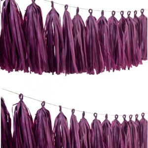 15 Pcs Burgundy Tassel Garland Wedding Party Supplies Decoration Tassel Banner for Birthday Baby Shower Bridal Shower Bachelorette Decoration