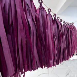 15 Pcs Burgundy Tassel Garland Wedding Party Supplies Decoration Tassel Banner for Birthday Baby Shower Bridal Shower Bachelorette Decoration