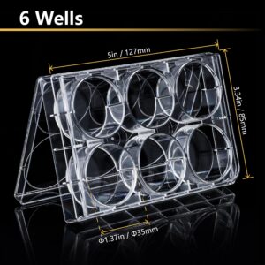 4E's USA 6 Well Cell Culture Plate with Lid, Tissue Culture Treated Plate, Sterile, Individual Packing, Pack of 5 Plates