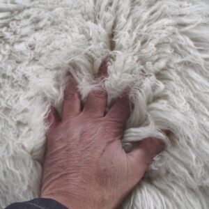 Super Thick 6x9 Greek Flokati Rug. Long 3.5” Organic Wool Pile. Shaggy Natural Wool Area Rug.